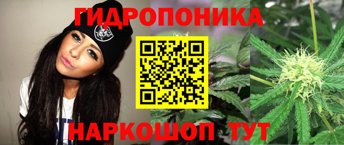 Балашов  Бошки марихуана планчик  МАРИХУАНА Amnesia  МАРИХУАНА тримм  Вход с VPN 